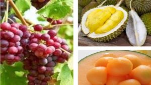 most expensive fruits