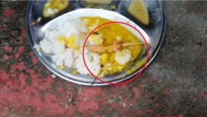 a lizard was found in the Meal Day meal